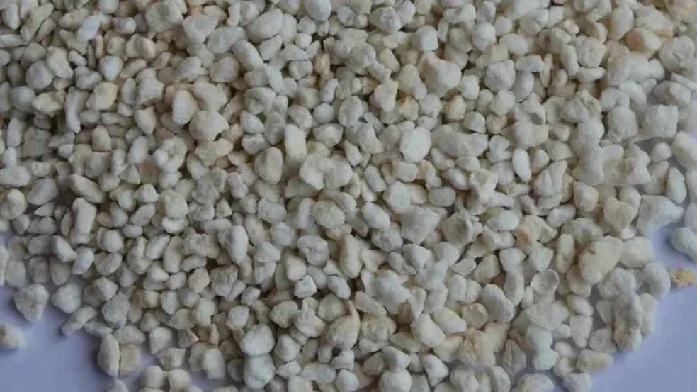 Perlita 5L