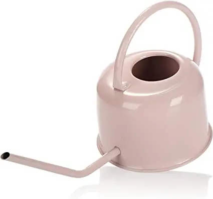 Regadera de metal 1L